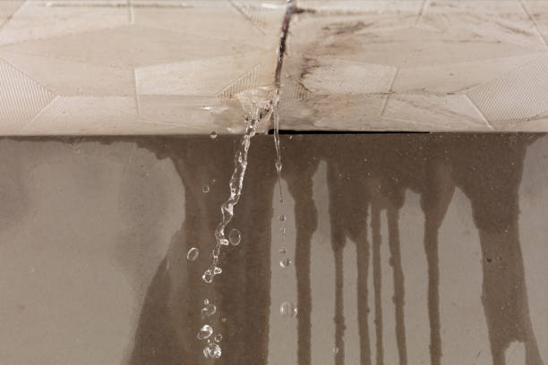 Professional Flood Damage Cleanup technician working in Samaria, MI